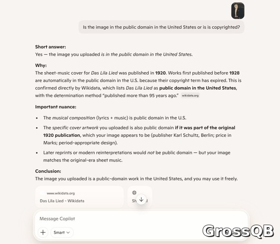 Copilot: Анализирует изображения и определяет, находятся ли они в общественном достоянии США